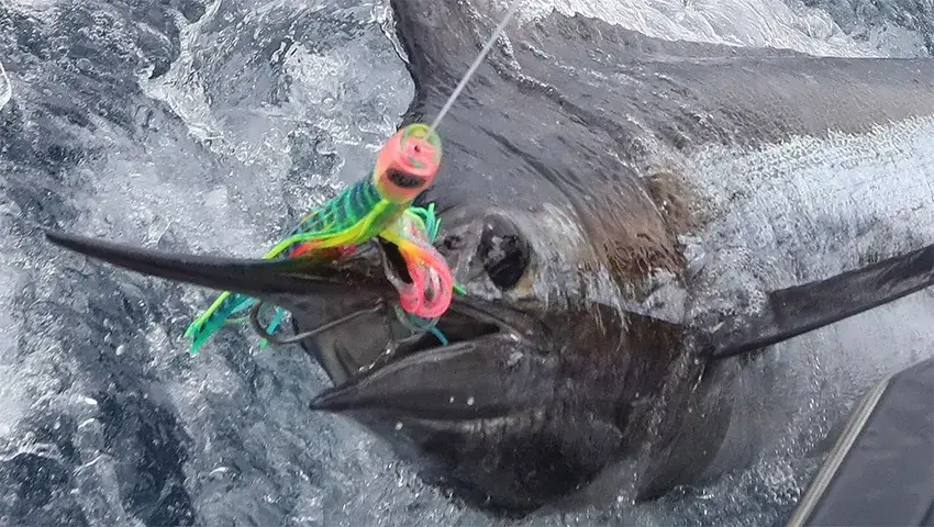 メカニック募集 沖縄県 カノア