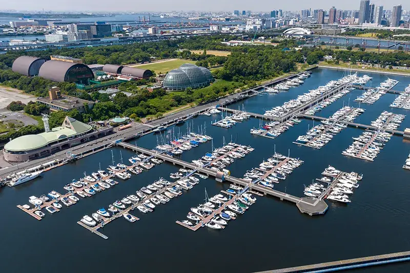 マリーナスタッフ募集 東京夢の島マリーナ