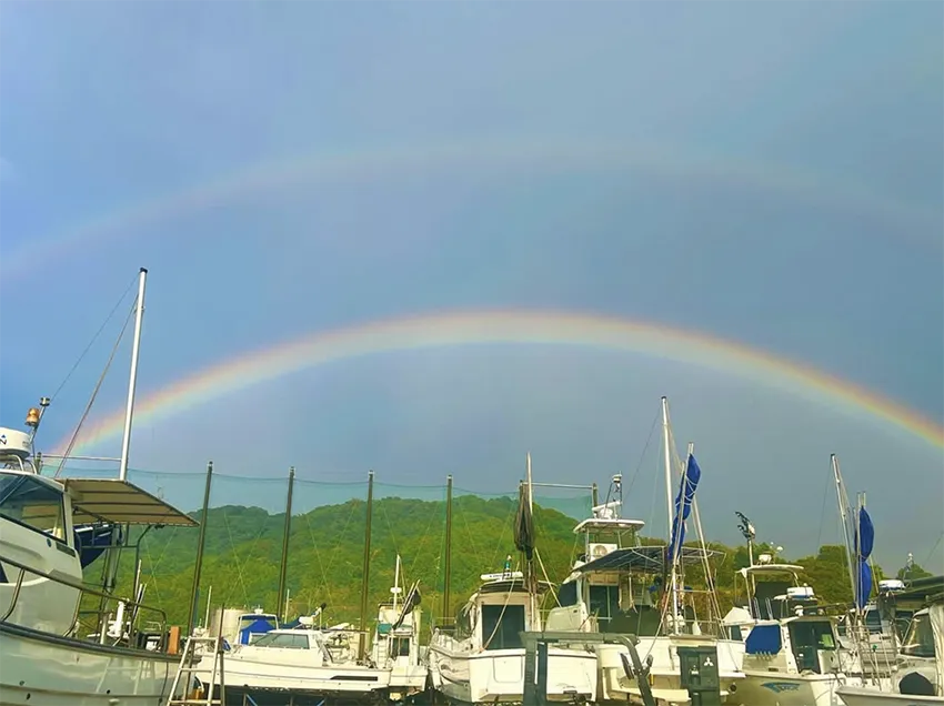販売スタッフ募集 マリーナ広島